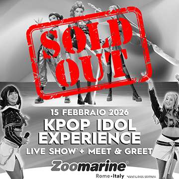 KPOP IDOL EXPERIENCE